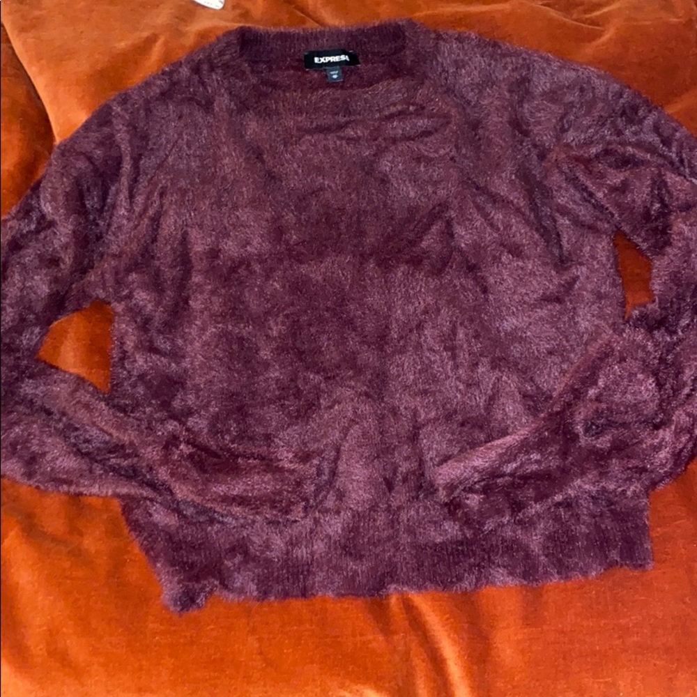 Fuzzy, cozy violet Express sweater